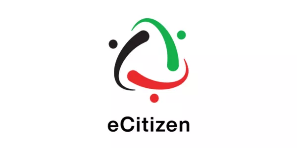 Steve Anthony and Associates Kenya Partners eCitizens